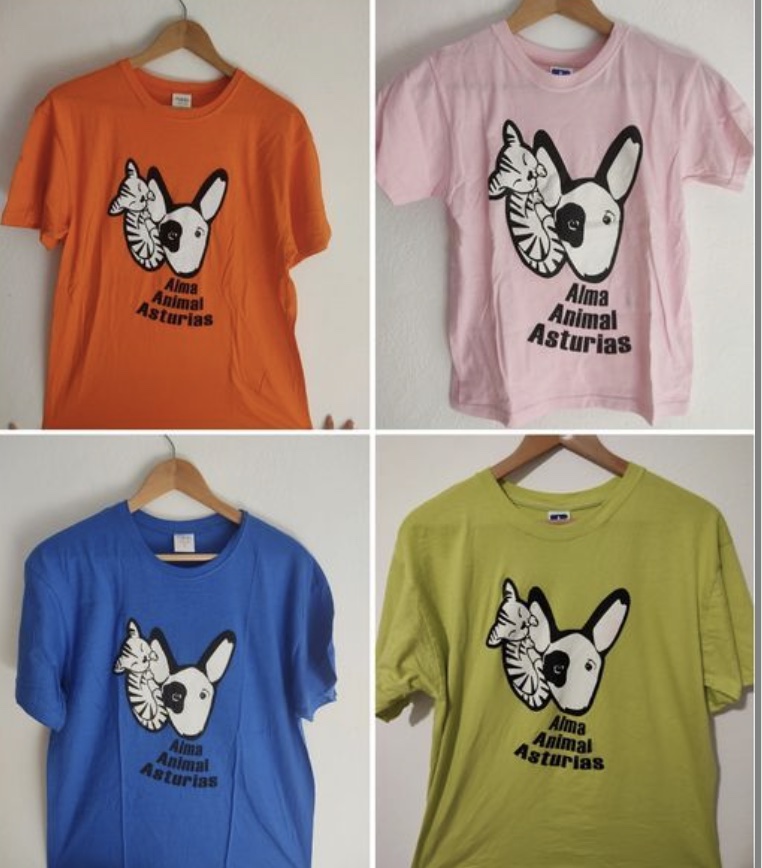 Camiseta2